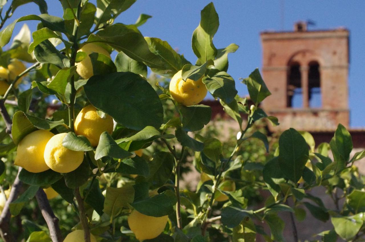 فيلا Monastero Sant'Anna In Camprena بيينْسا المظهر الخارجي الصورة